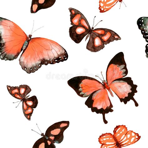 Butterflies Seamless Pattern Stock Vector Illustration Of Design