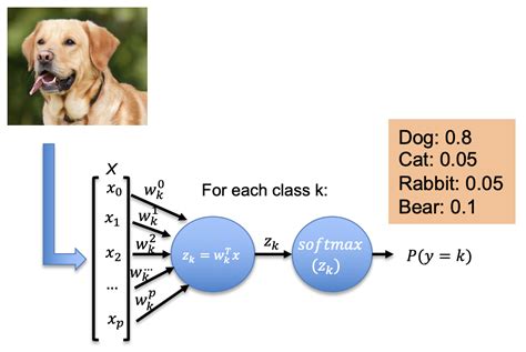 Multiclass Classification With Logistic Regression Using Softmax