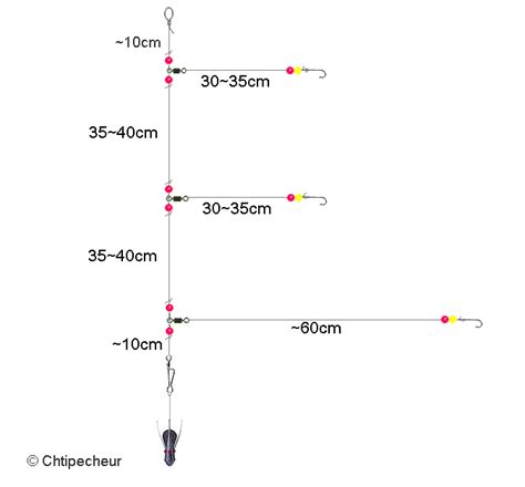 Pêche Du Merlan Au Surfcasting