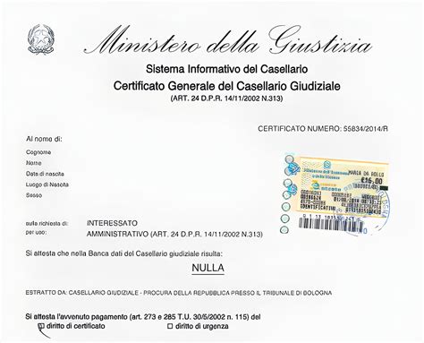 Casellario Giudiziale Riscontro Immediato Certificati In Un Click