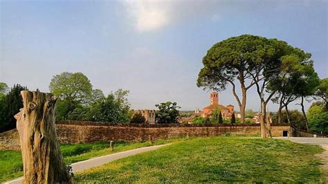 Este Cercando Il Principe Lungo Il Suo Sentiero Il Mattino Di Padova