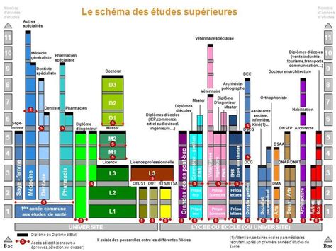 La Poursuite D Tude Dans Le Sup Rieur Apr S Le Bac Cit Scolaire L O