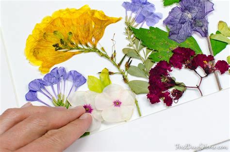 How To Make Diy Pressed Flower Art The Easy Way Pressed Flower Crafts Pressed Flowers