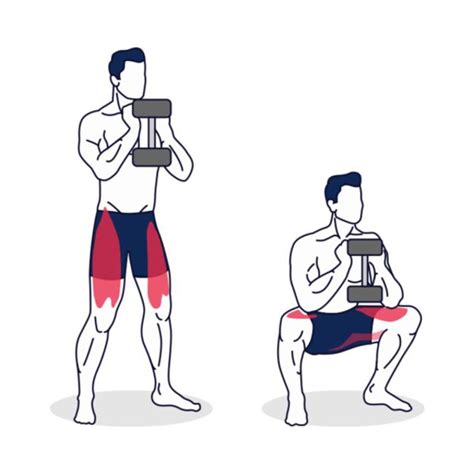 Goblet Squat By Oscar Eduardo Jimenez Carmona Exercise How To Skimble