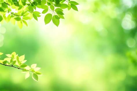 Nature Background 4k Stock Photos, Images and Backgrounds for Free Download