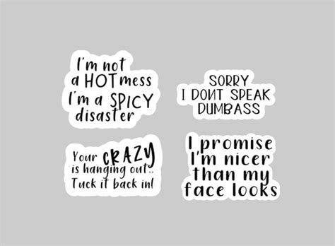 Funny Sticker Bundle Set Of 4 Handmade Stickers Singular Also Etsy