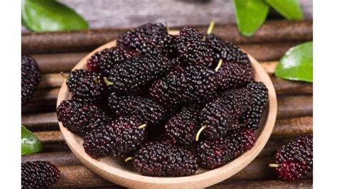 Manfaat Ekstrak Buah Mulberry Untuk Kecantikan Kulit Salah Satunya