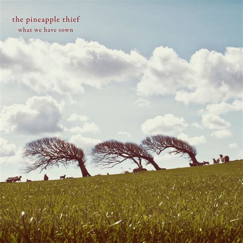 What We Have Sown Remastered Album By The Pineapple Thief Apple