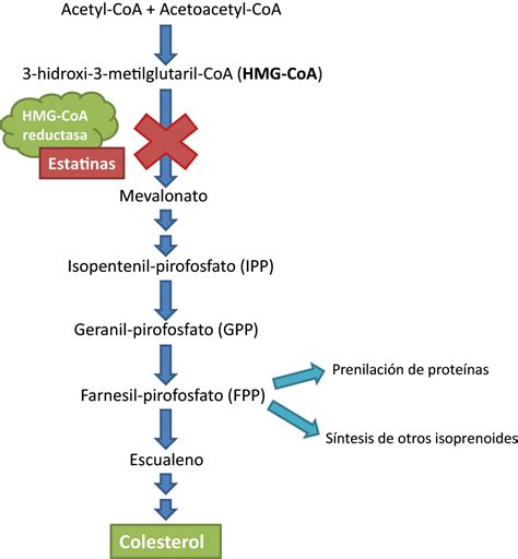 Influencia de la farmacogenética en la diversidad de respuesta a las