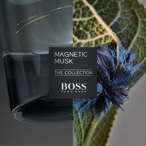 Boss Boss The Collection Magnetic Musk Eau De Parfum 100ml Unisex