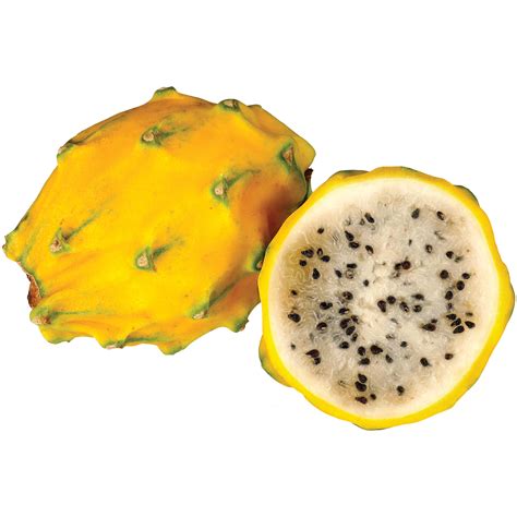 Fresh Yellow Dragon Fruit - Shop Specialty & tropical at H-E-B