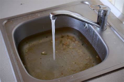 My Bathroom Sink Is Clogged And Full Of Water Rispa