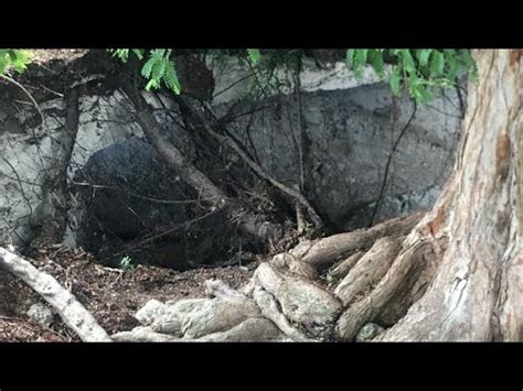 Bush Hall St Michael Barbados Theres An Area That Caved In Sink