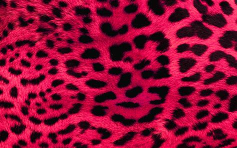 Pink Leopard Print Wallpaper By Angeldust On Deviantart