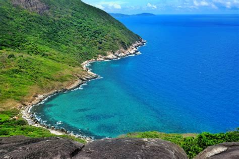 Green Rock at Ocean Shore · Free Stock Photo