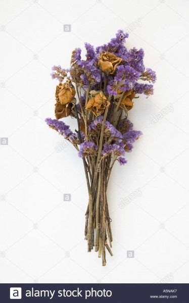 Dead Flower Bouquet | Flowers bouquet, Bouquet, Flowers