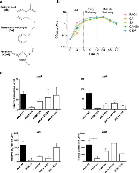 Quorum sensing inhibitors (QSIs) significantly reduce expression of las ...