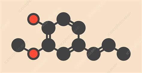 Isoeugenol fragrance molecule - Stock Image - F016/6303 - Science Photo ...