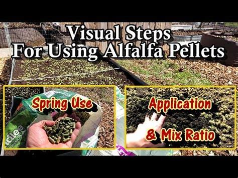 Using Alfalfa Pellets As A Spring Amendment For Raised Earth Beds