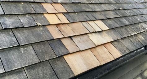 Cedar Singles 4 How To Remove And Replace Shingles Herbidacious