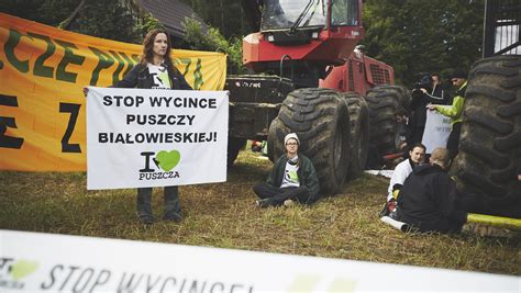 Protest Ekolog W W Puszczy Bia Owieskiej Zmierza Ku Ko Cowi Wiadomo Ci