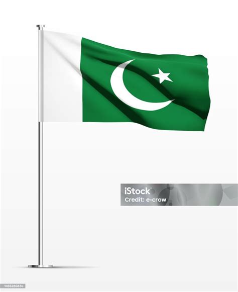 Pakistan Flag Isolated On White Background Stock Illustration ...