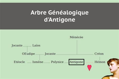 Arbre G N Alogique Antigone Famille Histoire Et G N Alogie