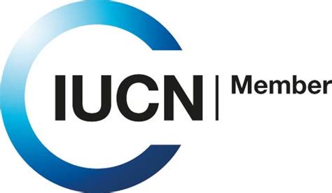 HCV-HCSA Assessment Manual (2023) | HCV Network 