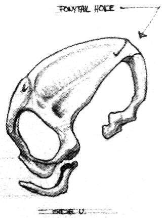 Skull Side View Drawing at GetDrawings | Free download