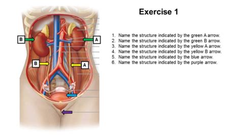 Chapter 7 Review Flashcards Quizlet