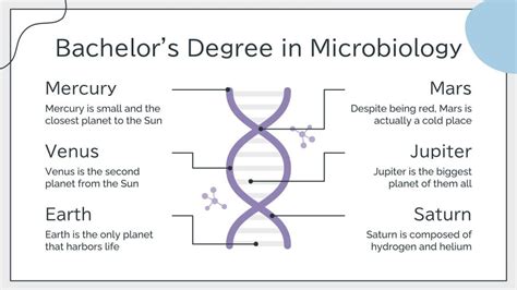 Bachelor S Degree In Microbiology Infographics