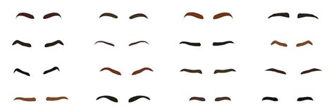 premium vector  set  female eyebrows isolated cartoon eyebrows
