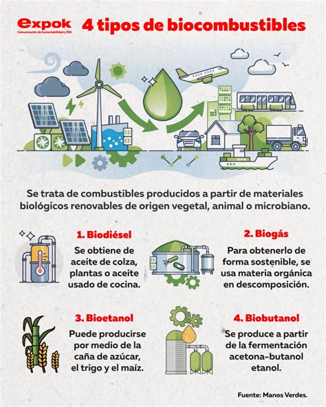 Alternativas Por La Sustentabilidad Tipos De Biocombustibles