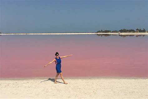 Que Hay Entre La Playa Y El Mar Rosado Nuestra Playa