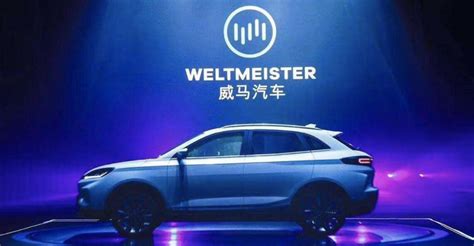 Chinese EV Maker WM Motor’s Co-founder Lu Bin Resigns as WM Seeks to ...