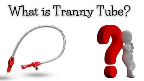 What Is Tranny Tube Review Business To Mark