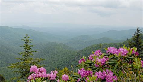 Experience Gatlinburg This Spring | Moonshine Mountain Coaster