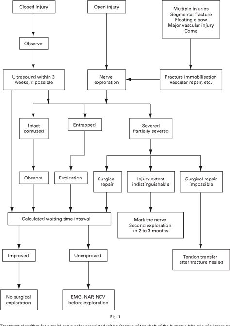 Radial nerve palsy | Semantic Scholar