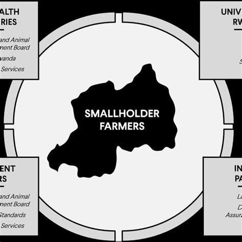 bacteriological identification flow chart  bacteriological