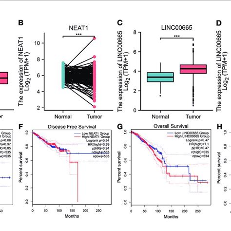 Expression Analysis And Survival Analysis For Upstream Lncrnas Of