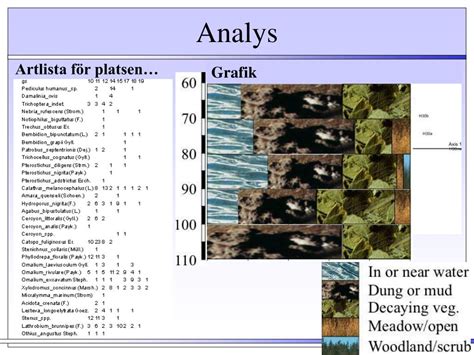 Ppt Arkeologi Ab Milj Arkeologi Powerpoint Presentation Free