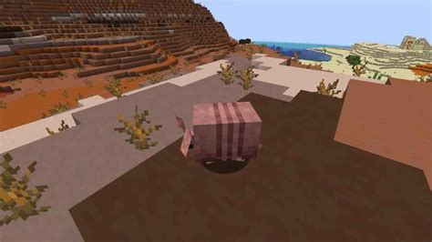 Minecraft Armadillo Spawn Locations Pro Game Guides