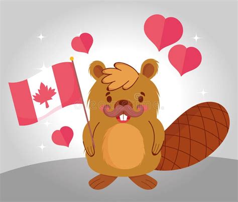 Beaver with Canadian Flag Vector Design Stock Vector - Illustration of ...