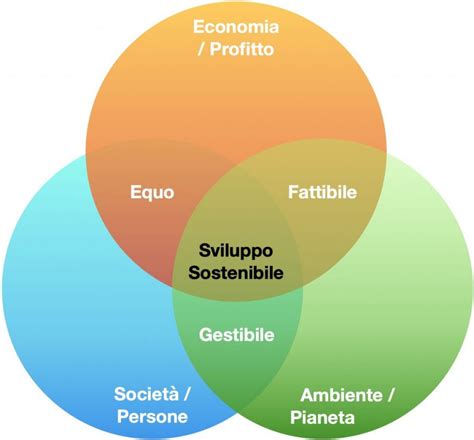 P Della Sostenibilit Principi Della Sostenibilit Sviluppo