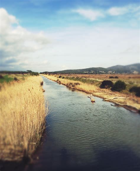 Ambito Turistico Maremma Toscana Sud Dati In Crescita Comune Di Grosseto