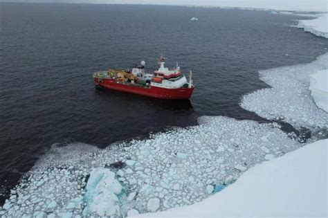 Antarctica sea ice melts to a record low | The Straits Times