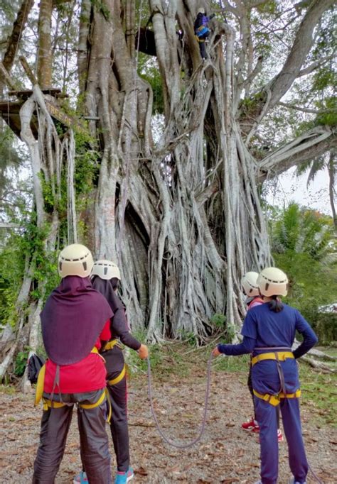 Tree Climbing - Outward Bound School in Sabah