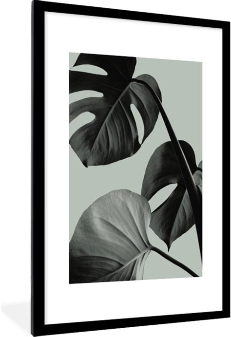 Fotolijst Incl Poster Monstera Bladeren Groen Stilleven