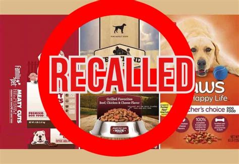 Warning! These 10 Dog Foods Have Been Recalled (2020) - PetPress