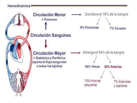 Circulación Mayor Y Menor Hemodinámica De La Circulación Ppt Video